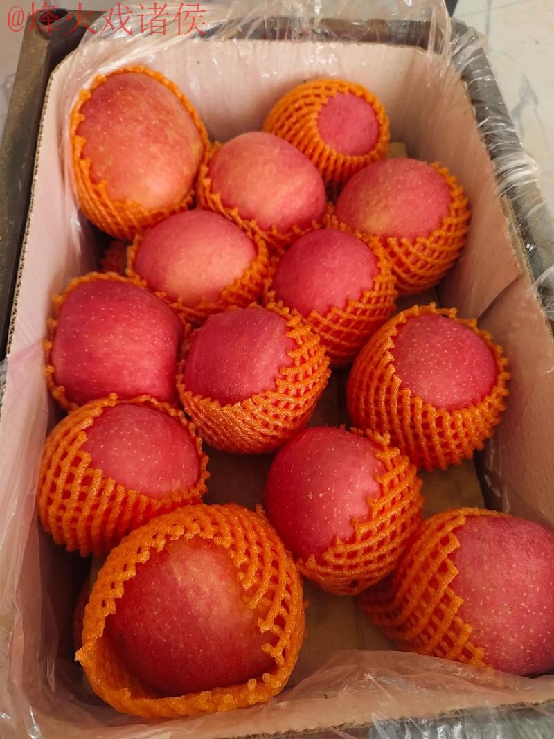 2026世界杯盘口苹果最佳